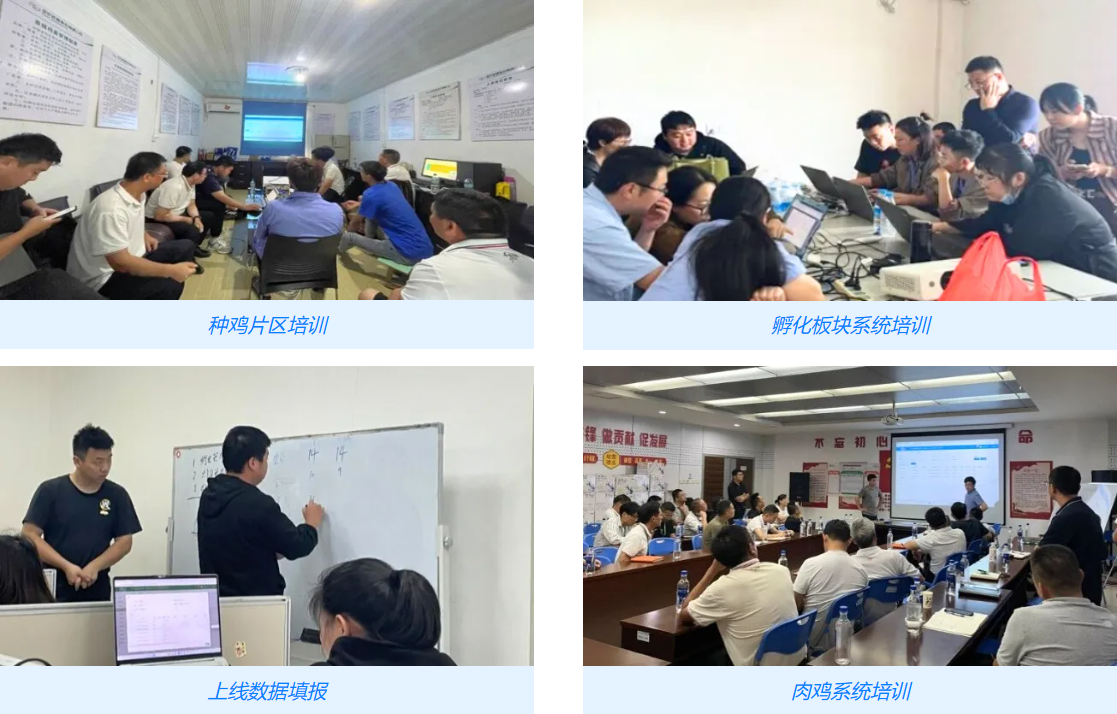 圣農(nóng)SAP ERP及智慧農(nóng)場(chǎng)養(yǎng)殖系統(tǒng)培訓(xùn)